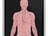 Hemolog (work in progress)