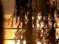 Sundown livelooping 2 (The Sun)