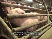 ¿El camino hasta aquí?