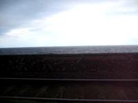 the view