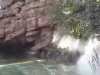 A Jurassic Adventure