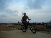 Plata barspins