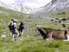 Livigno: escursione in Vallaccia (small)