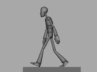 Walk Cycle