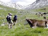 Livigno: escursione in Vallaccia