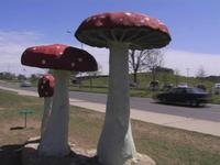 2009 Texas Biennial Part 3: Solo Shows and Outdoor Projects