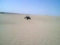 My Cousin's Buggy.