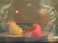 Alamofire Peep Jousting 2009