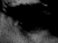 A Taste Of Things To Come (TEST)