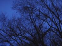 VCUarts Cinema - Persistence of Everything Documentary