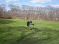 Stampede Training