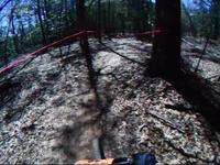 Clemson - testing different quality
