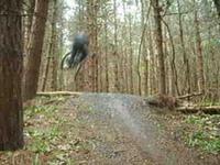 Riding the local