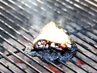 Peep on a BBQ