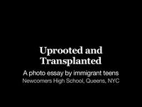 Uprooted and Transplanted