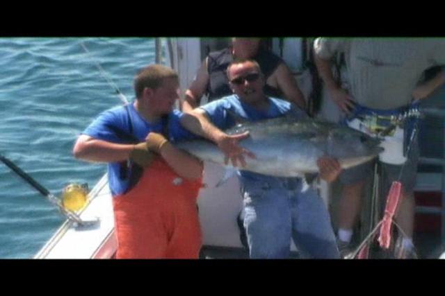 Mass Bay Guides Tuna Fishing