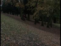 rough cut park life 4