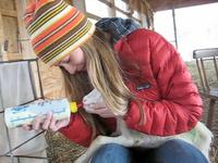 Lambing Outtakes - Drip