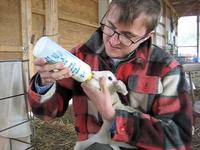 Lambing Outtakes - Bottle