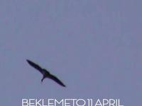 Beklemeto 11-12 April