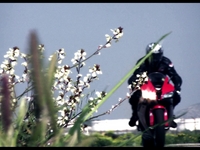 Trackbikes fast sequence test 1