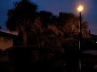 Windy Evening