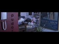 Pudor (Shame)