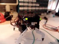 Jeffrey the Quadruped Finalized