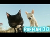 Ruffian's Faith AMV's