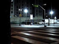 Walking With the Wounded Teaser