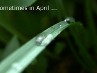 Sometimes in April