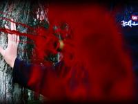 3D Image - Blood Splatter
