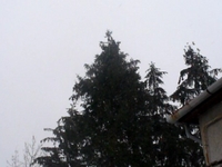 Blizzard