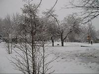 Snow in April