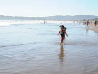 Stinson Beach, CA