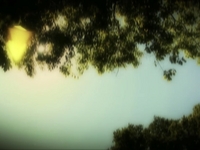 Gold particles