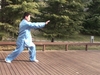 Wushu and other Martial Arts