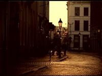 Racoon - My town