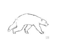 marche_animale
