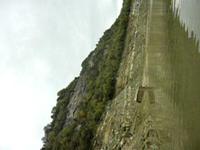 survivle trip..06