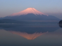 Fujiyama & sakura pt1