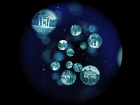 Fountain of Dreams