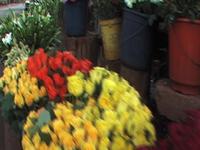Spring Valley Florist