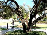 Go Green (2008)