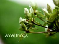 small things