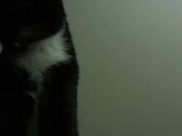 三三的一分钟
