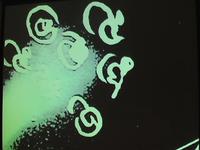 Clip 2