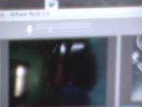 Clip 04