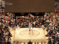 The Japanese Tradition