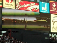 The Trackrunners x Manny Pacquiao First Pitch @ SF Giants